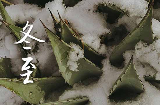 2023年冬至时间是什么时候 2023年冬至弄开船适合吗