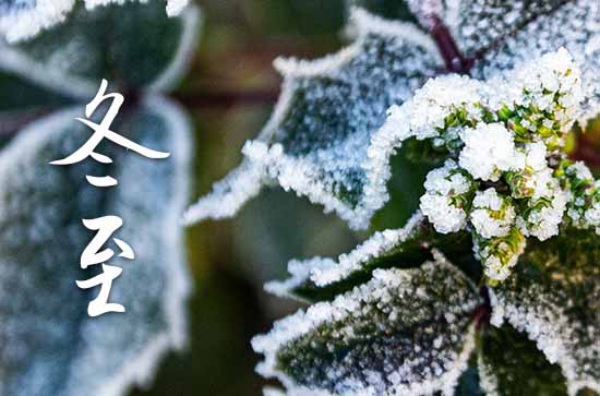 2023年冬至是几月几日 2023年冬至弄取蜂蜜好不好