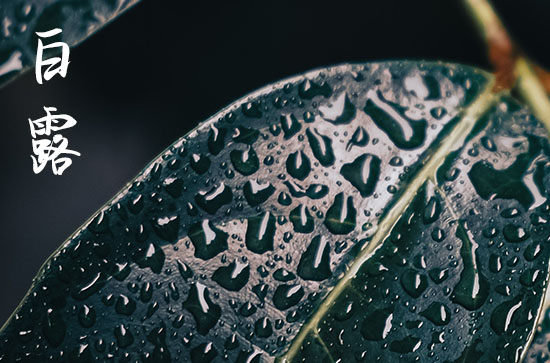 2024年白露是什么时候 2024年白露弄安机器好吗