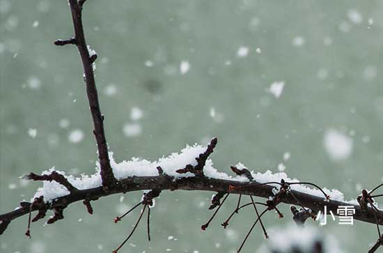 伊春11月4日天气预报:高温0℃~低温-11℃，小雪转雪，不会下雨