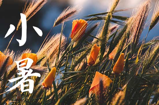 2024小暑过后多久入伏 7月15日才开始入伏