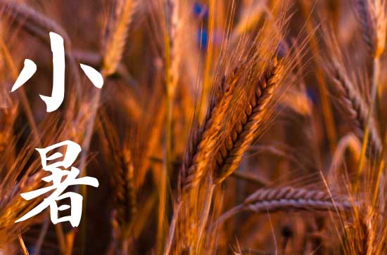 2024年小暑是几点几分几秒 这天是什么星座星期几