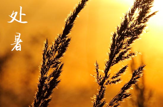 2024年处暑是什么时候时间 2024处暑是黄道吉日吗