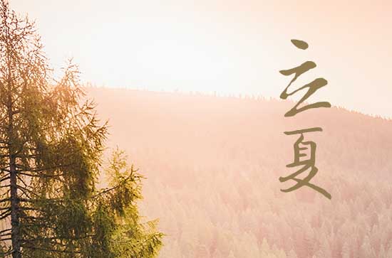 立夏2024年是几月几日星期几 2024年立夏是种树的好日子吗