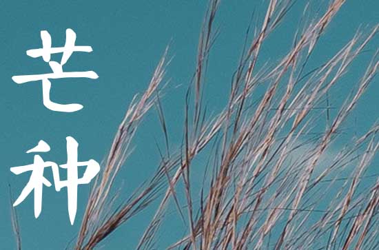 芒种名篇佳作 芒种诗词有哪些