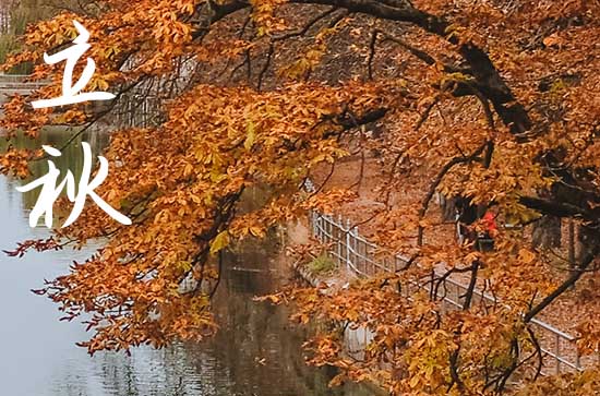 2024年立秋农历时间 2024年立秋适合合嵴吗