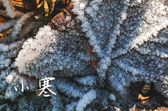 2024小寒是几月几日 2024小寒是哪一天