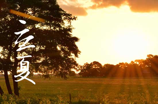 立夏的习俗是什么?