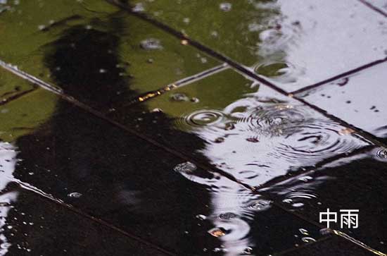林芝7月12日天气预报:高温19℃~低温11℃，中雨转雨，会下雨