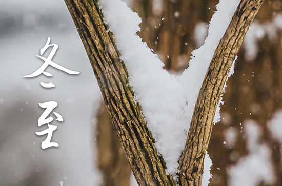 冬至2023年是几月几日星期几 2023年冬至找保姆行不行