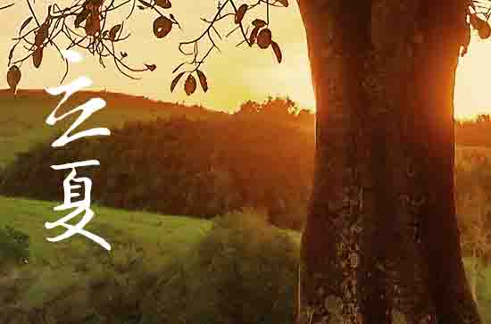立夏节气夏季版图迅速扩张 华北黄淮防范干热风
