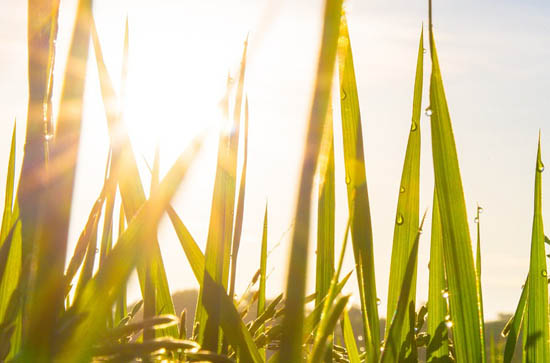 亳州今日天气晴 2024年6月30日亳州市天气预报