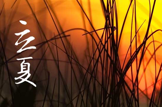 立夏是2024的几月几日 2024立夏是黄道吉日吗