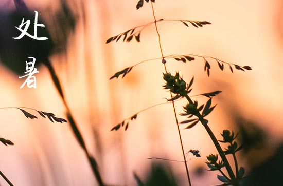 2024年什么时候处暑 2024年处暑修建仓库可以吗 2024年什么时候处暑 2024年处暑修建仓库可以吗