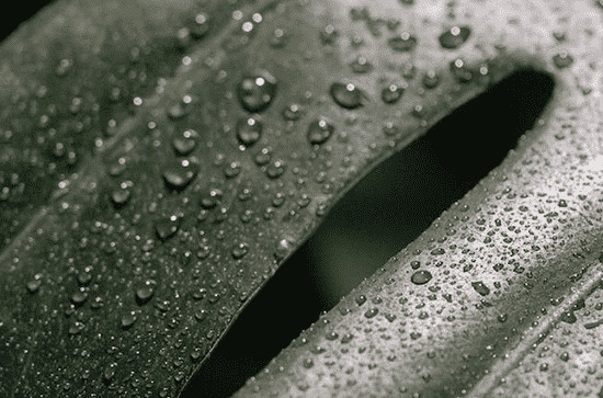 谷雨节气是为纪念谁而设立的 二十四节气中的谷雨是为了纪念谁