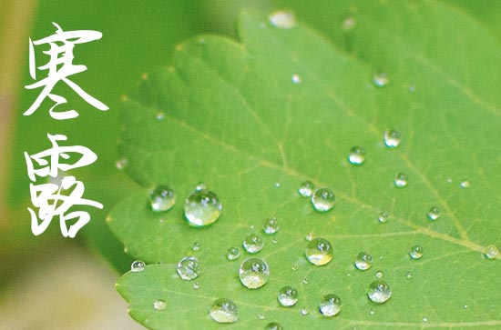 寒露名篇佳作 关于寒露的古诗绝句 寒露名篇佳作 关于寒露的古诗绝句