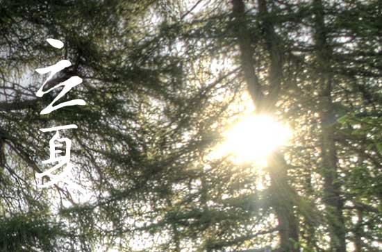 立夏2024年是几月几日星期几 2024年5月5日立夏是结婚领证吉日吗