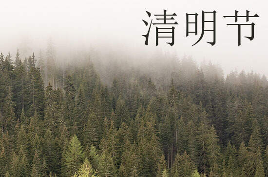 2024年清明节哪天扫墓好 清明“前三后四”是什么意思