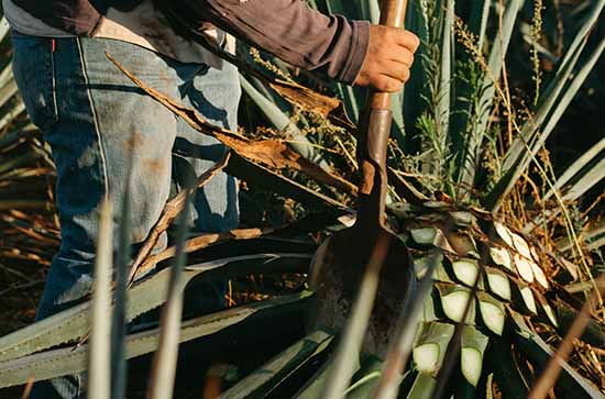 2023劳动节倒计时日历 距离2023劳动节还有多少天