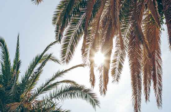 昌吉9月15日天气预报:高温22℃~低温8℃，晴，不会下雨