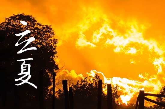 2024年立夏农历时间 2024立夏这天可以挖坟墓吗 2024年立夏农历时间 2024立夏这天可以挖坟墓吗