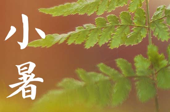 2024小暑是农历哪一天 2024年7月6日小暑这天普渡好不好