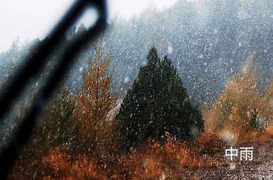 花莲今日天气中雨转小雨 花莲2024年6月11日天气预报