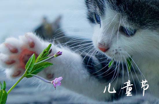 2023六一儿童节简短祝福语一句话