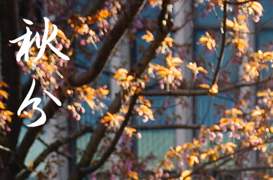 今天秋分的时间是几点几分2024 气象变化