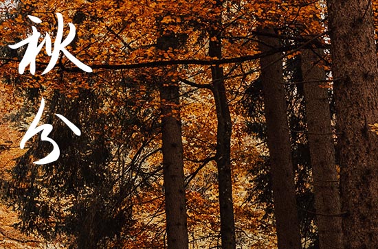 2024年秋分是几点几分几秒 2024秋分是黄道吉日吗