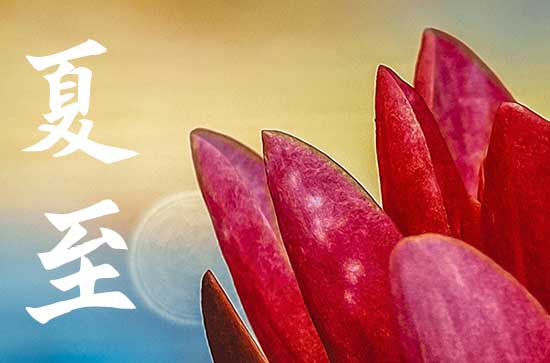 夏至太阳直射点位置   夏至的物候现象