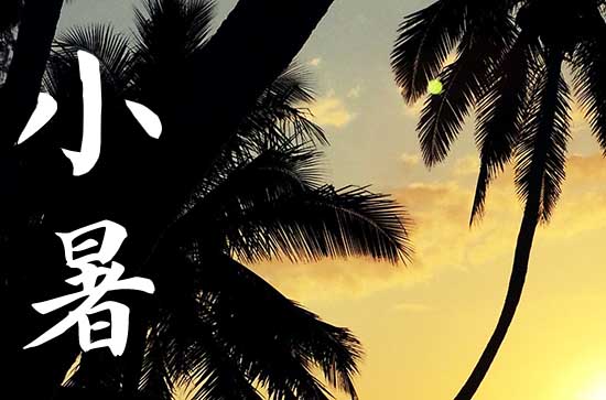 2024年小暑是什么时候 2024年小暑砍树合适吗