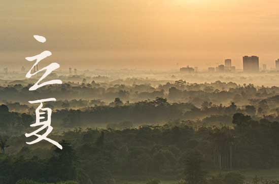 立夏是几月几号2024年 2024年立夏堵蚁穴行不行 立夏是几月几号2024年 2024年立夏堵蚁穴行不行