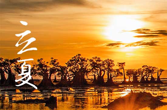 2024年立夏是几点几分几秒 2024年立夏弄取蜂蜜好吗