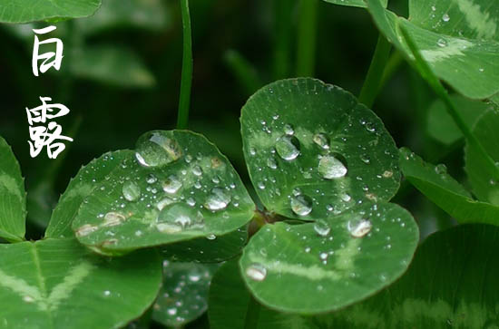 2024年今年白露是几月几号 2024年白露平治道涂吉利吗