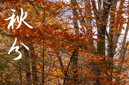 2024年几号是秋分 中国农民丰收节