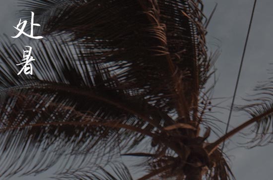 处暑2024年是几月几日星期几 2024年8月22日处暑塞穴适合吗