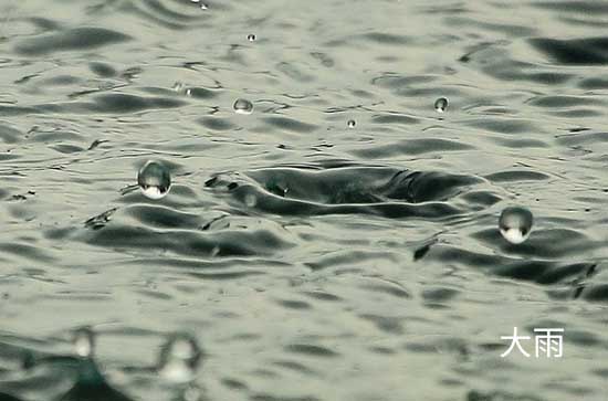 10月31日宁波会下雨 今日大雨转大到暴雨温度21℃~18℃