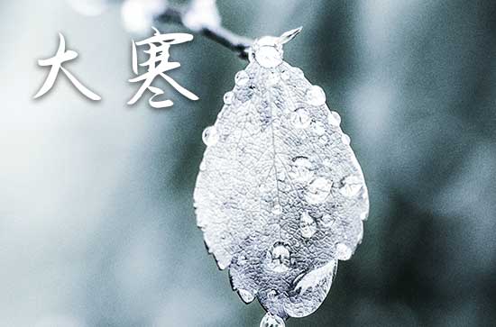 大寒节气问候祝福语简短有趣的话