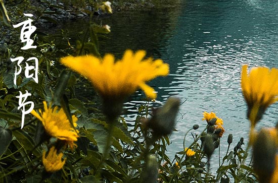 2024九九重阳是几号 九九重阳节各地习俗