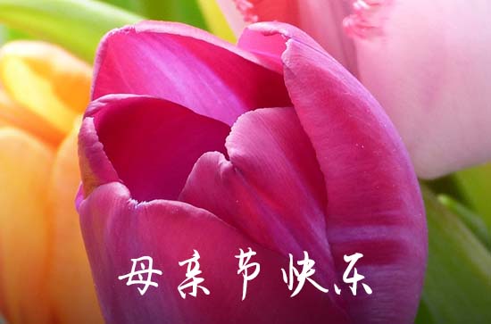 真挚感恩的母亲节祝福语   写给妈妈的话暖心短句