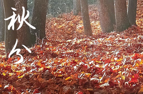 2024年秋分几月几日 2024秋分制作渔网好吗