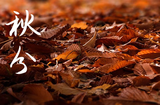 2024年秋分农历时间 2024秋分当天可以上学吗