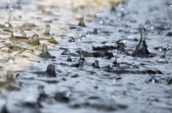                     江西东部等地26日依然雨哗哗 明起全省转晴阳光上线                    