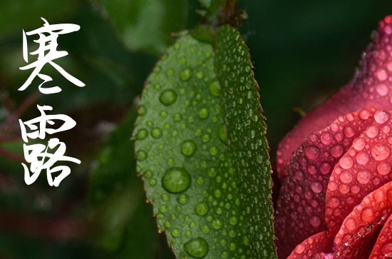 今日寒露！24节气中首个带“寒”的节气