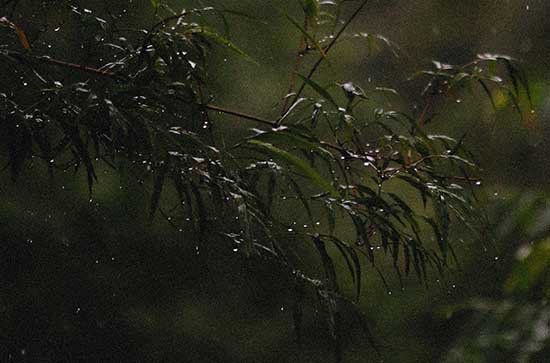 怒江今日天气小雨 2024年8月8日怒江天气预报