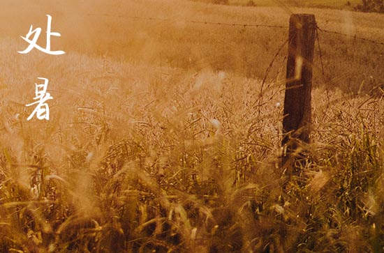 2024年处暑是几点几分几秒 2024年处暑这天日子怎样