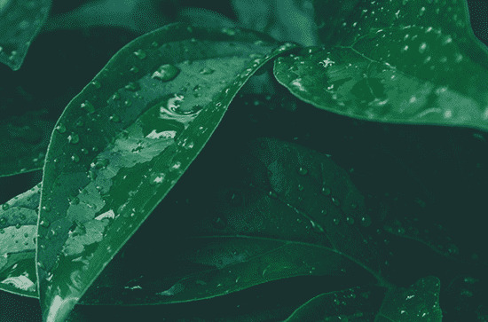 2024年谷雨天气一般多少度