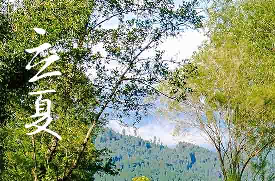 2024年立夏农历时间 2024年5月5日是立夏