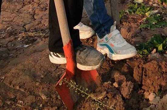 五一放假2023高速免费时间 2023五一假期高速免费时间介绍